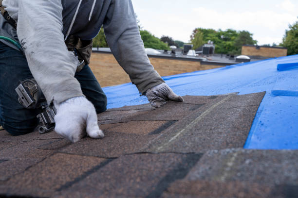 Quick and Trustworthy Emergency Roof Repair Services in The Plains, OH