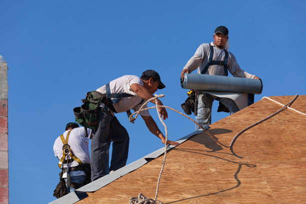 Best Affordable Roofing Company  in The Plains, OH