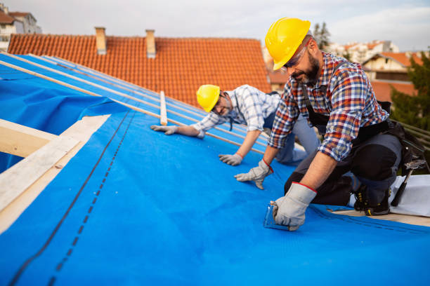 Professional Roofing Contractor in The Plains, OH