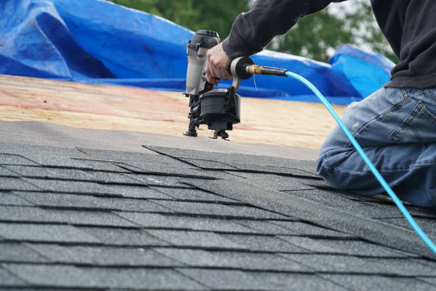 Best Roofing Contractor Near Me  in The Plains, OH